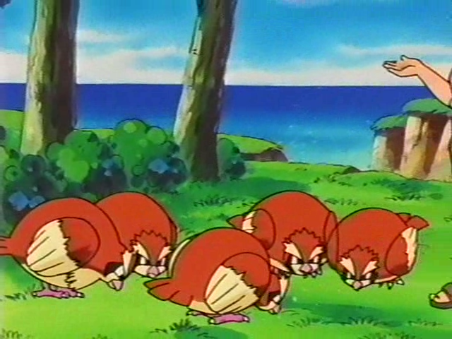文件:大波波之岛的大波波.png